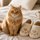 Ultimate Cat Mom/Dad Kit