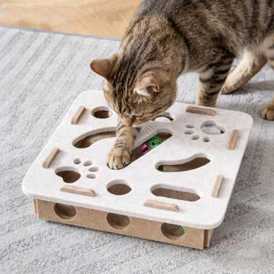 Interactive Puzzle Cat Toy