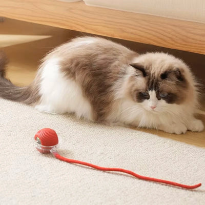 Smart Rolling Cat Toy